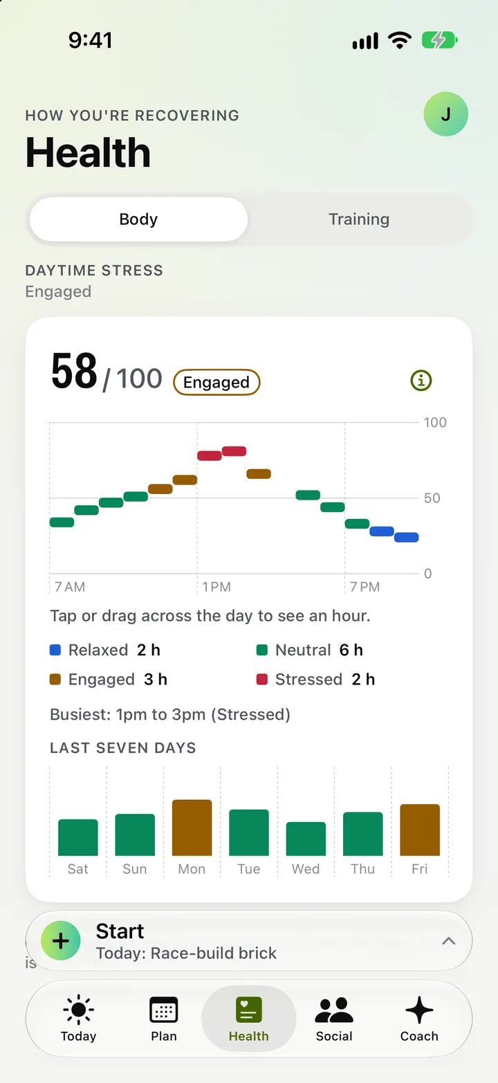 The daytime stress graph on iPhone.